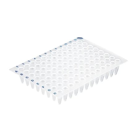 BrandTech Scientific - 96-well PCR plate - 781368